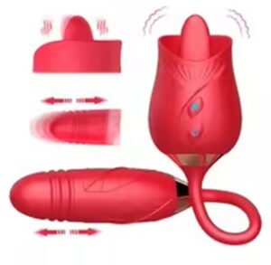 2-in-1 Clitoral Stimulator with Thrusting Egg Vibrator-206