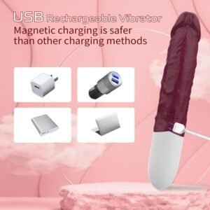 Vibrators-1038 - Image 4