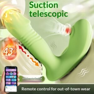Vibrators-435
